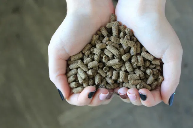 تصویر 3 از کود مرغی ارگومیکس فرمول متعادل برای تغذیه خاک